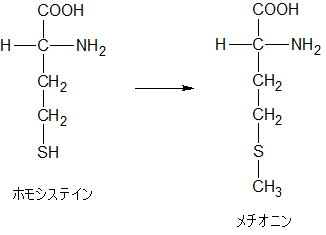 homocysteine to methionine02